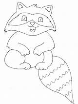 Coloring Raccoon Pet Raccoons Highly Detailed Printable Little Pages sketch template