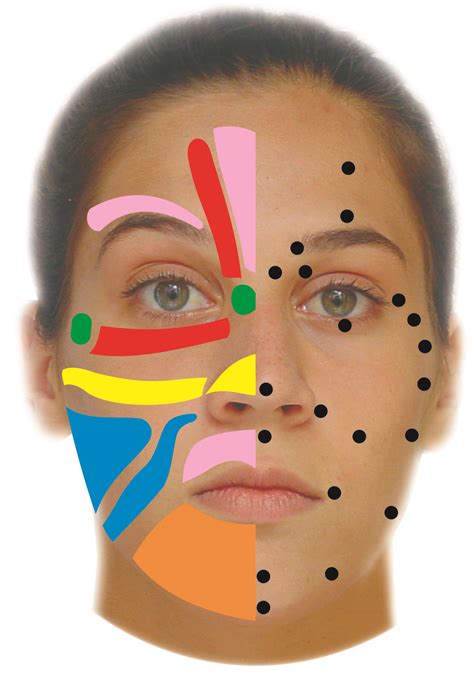 facial reflexology williamstown reflexology and bowen therapy