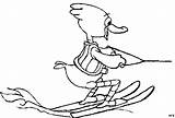 Wasserski Ente Ausmalbilder Malvorlagen Herunterladen sketch template