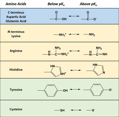types  amino acids   eaton