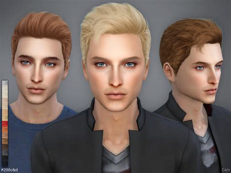 sims  cd male hairstyles  sims book