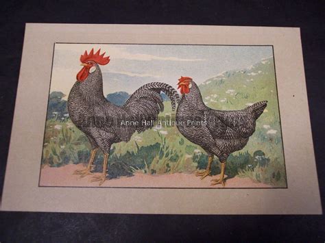 kramer poultry chromolithograph  antique lithographs engravings