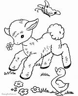 Coloring Easter Pages Lamb Cute Printable Spring Template sketch template