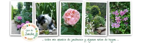 Guia De Jardin Blog De Jardinería Plantas Y Flores De La A A La Z