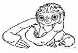 Sloth Coloring Pages Realistic Printable Toed Three Kids Color Print Adults sketch template