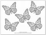 Butterfly Coloring Pages Butterflies Monarch Printable Onelittleproject Little sketch template