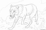 Wolf Coloring Pages Printable Wild Realistic Running Print Dog Drawing Color Forest Animal Animals Vlk Fox Drawings Size Getdrawings Book sketch template