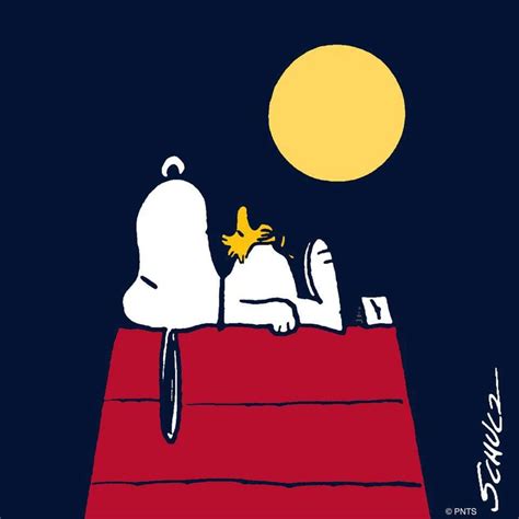 Pin By Brandy Vickery On Humor Snoopy And Woodstock Snoopy Love