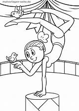 Zirkus Malvorlage Akrobatin Malvorlagen Seite Drucken sketch template