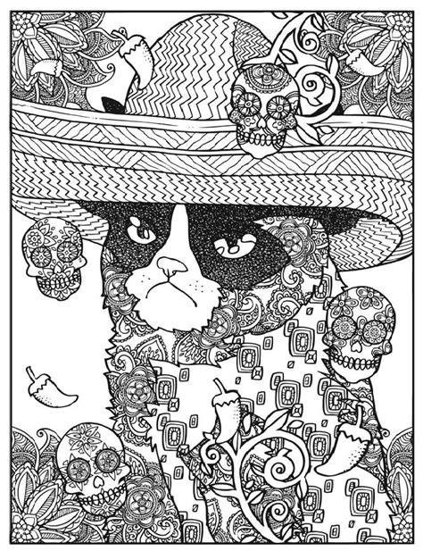 creative haven grumpy cat   world visits mexico cat coloring