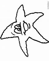 Starfish Coloring Clipart Advertisement Colouring Fish Star sketch template
