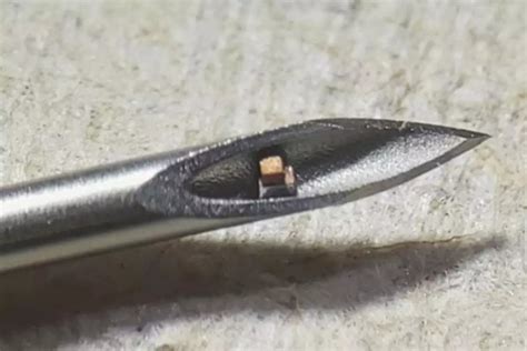 worlds smallest micro chip   injected   body principia scientific intl