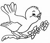 Bird Coloring Pages Birds Cuckoo Kind Animals Knowing Name sketch template