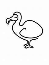 Dodo Bird Draw Drawing Coloring Pages Netart Colouring Getdrawings sketch template