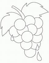 Grapes Coloring Pages Grape Vine Kids Ripe Printable Fresh Color Template Colouring Sheets Leaf Bestcoloringpages Getcolorings Books Popular Fruit Getdrawings sketch template