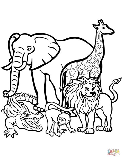 coloring pages animals  adults    clipartmag