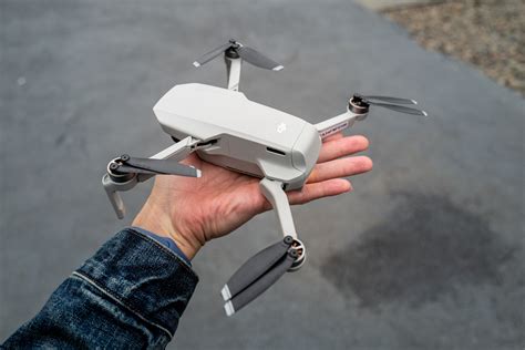 dji mini  tsena nauchilovoru