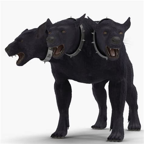 model  headed dog cerberus fur