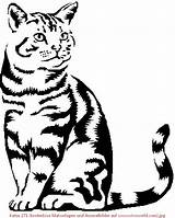 Katzen Ausmalbilder Malvorlagen Ausdrucken Schablonen sketch template