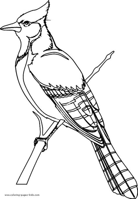 bird coloring pages  print  kids
