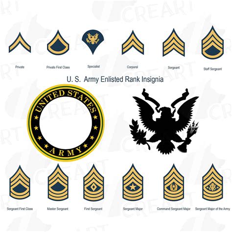 army enlisted rank insignia collection military frame clip etsy