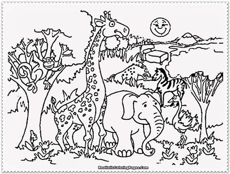 preschool zoo coloring page coloring home