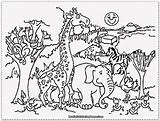 Coloring Pages Jungle Animals Animal Preschool Getdrawings sketch template