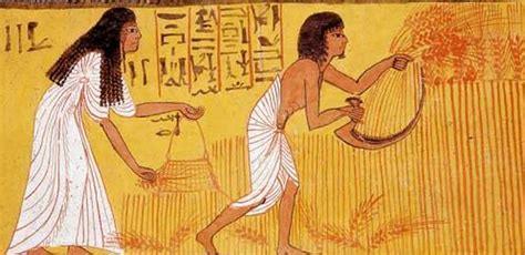 How Ancient Egypt Did Amazingly Accurate Pregnancy Tests 3 500 Years