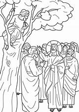 Zacchaeus Jesus Library Colouring sketch template