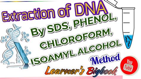 Dna Extraction By Sds Method Phenol Chloroform Mixture Youtube