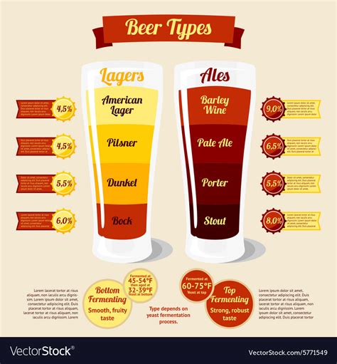 types  beer infographic  places   vector image