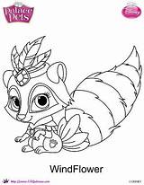 Whisker Windflower Galery Dibujalandia Kleurplaten Prinses Mascotas sketch template