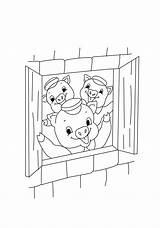 Cerditos Pigs Pintar Preschoolers Dibujosonline sketch template