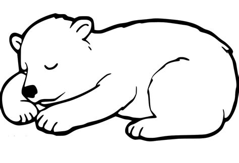 black bear cub sleeping coloring page  printable coloring pages