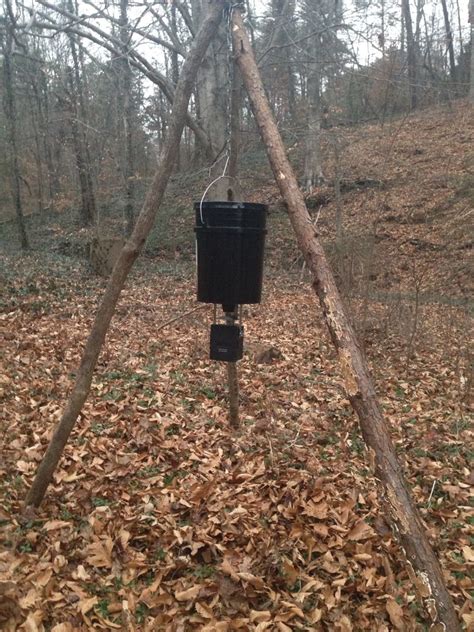 Deer Feeder With Stand Made From 3 Big Branches Spare