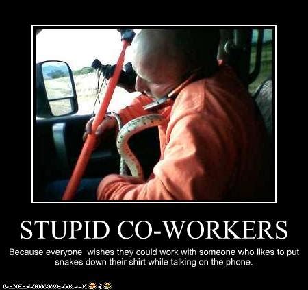 funny quotes  lazy  workers quotesgram