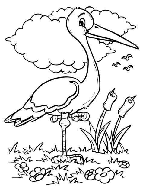 bird coloring pages bird coloring pages coloring pages fall