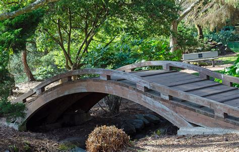 tranquil foot path photograph  tikvahs hope fine art america