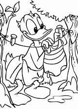 Clothes Coloring Donald Duck Drying Cliparts Cartoon Pages Clipart Favorites Add sketch template