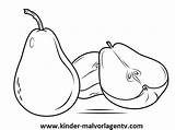 Pera Peras Buah Gambar Mewarnai Dibujos Coloring Pears Birne Pir Frutas Ausmalbild Entera Buahan Anak Abierta Sketsa Ganze Geschnittene Coloringonly sketch template