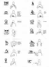 Makaton Sign Language Printables Signs Nursery Baby Hamptons Phrases Bsl Choose Words British School Basics Kids Communication Chart Sit American sketch template
