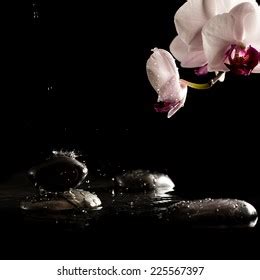 black spa massage stones  water stock photo  shutterstock