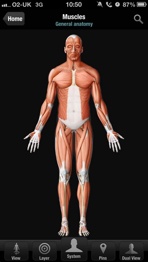 Virtual Human Body Iphone And Ipad Medical App Review