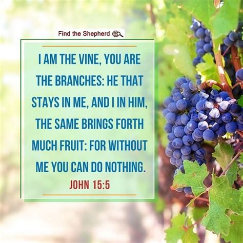 Today S Bible Verse John 15 5 Relationship With God