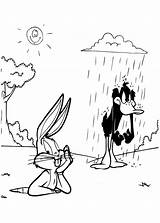 Duck Rain Daffy Coloring Pages Standing Netart sketch template