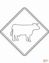 Coloring Cattle Australia Sign Pages Supercoloring sketch template
