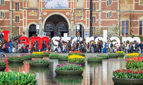 Tips On The Tulip Festival In The Netherlands