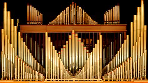 die groesste orgel der welt amazonade