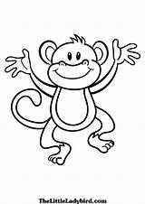 Monkey Coloring Template Kids Pages Craft Templates Jungle Monkeys sketch template