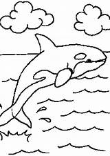 Coloring Whale Pages Sea Shamu Killer Orca Drawing Outline Animals Water Cliparts Easy Unknown Getdrawings Getcolorings Color Printable Library Clipart sketch template